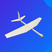 Glider Plane Project (x15 projects)